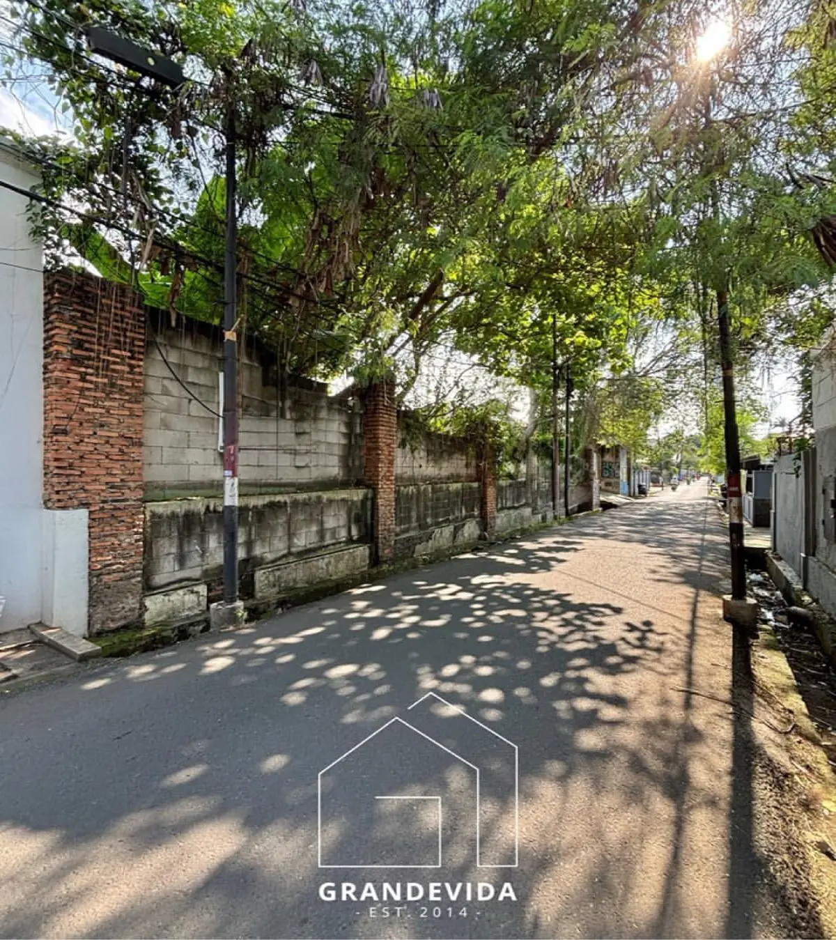 68b24a148d337.webp