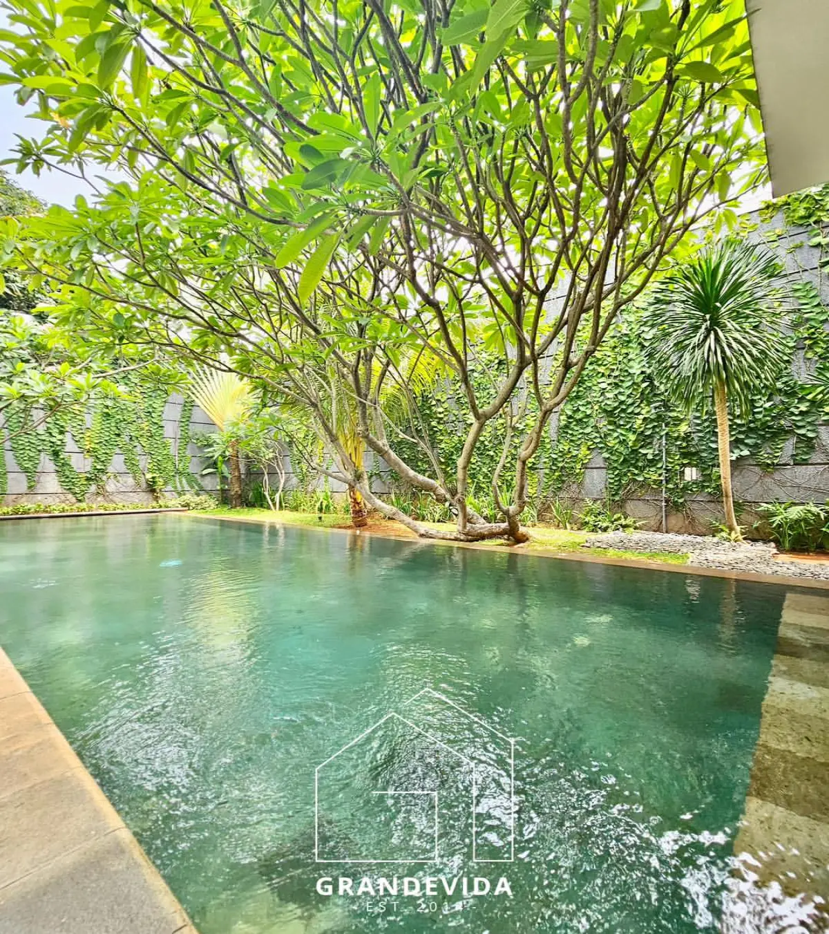 Rumah Dijual Murah BDN Cilandak Jakarta Selatan