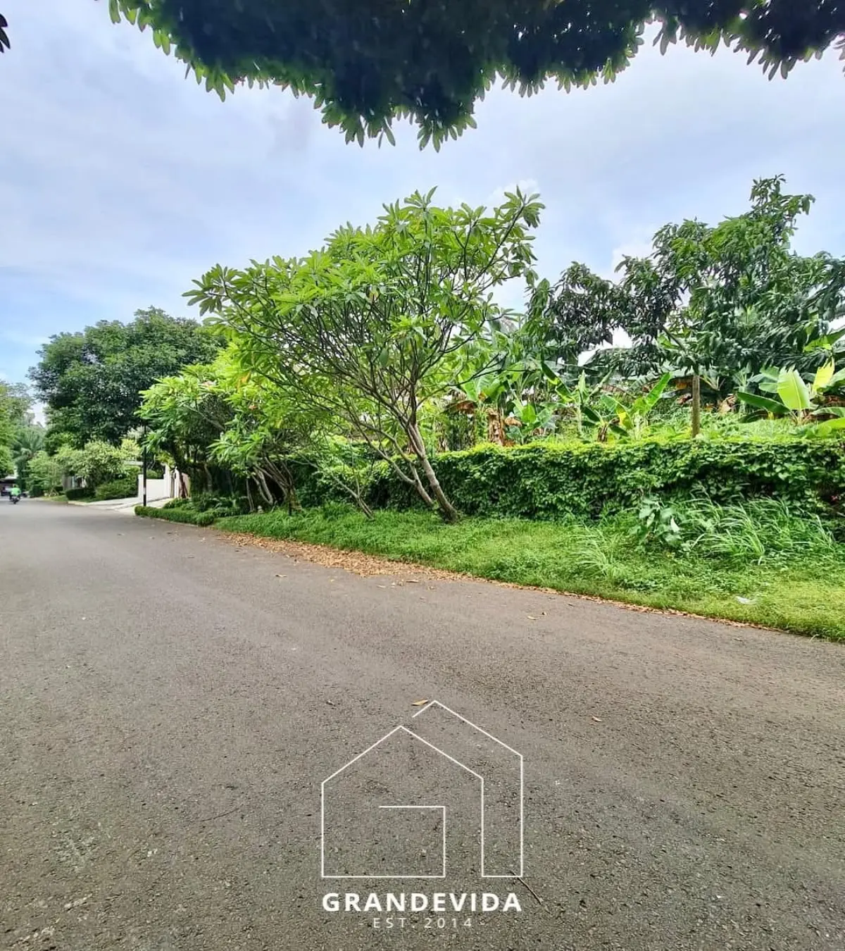 68fa398a880e5.webp