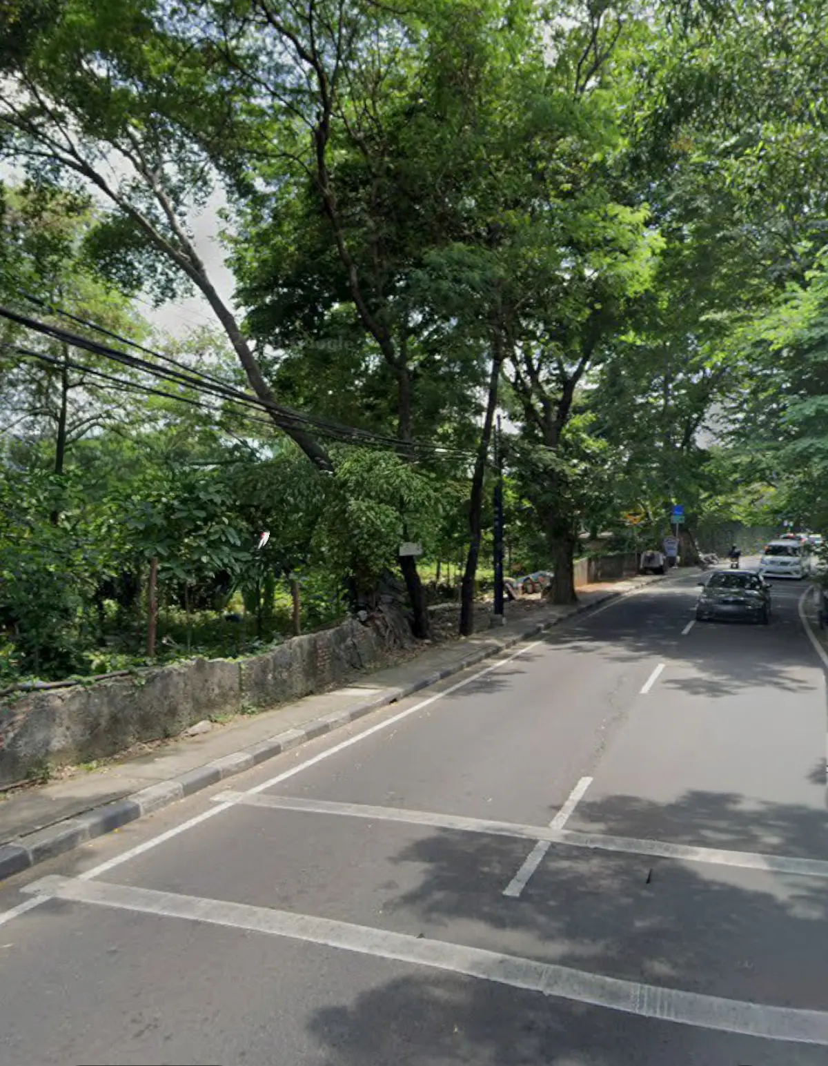 6a43d79004345.webp
